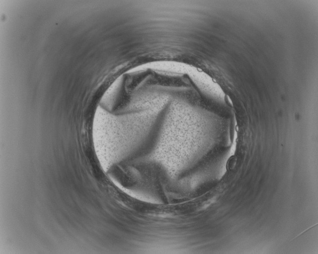 X0000082710743200702232255