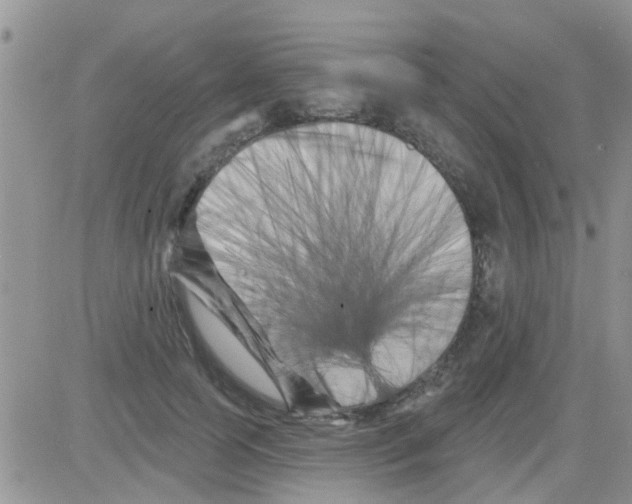 X0000082710745200702232255