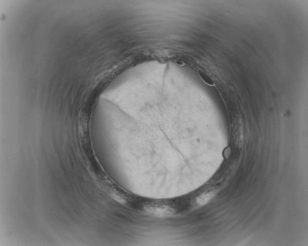 X0000082710747200702232255