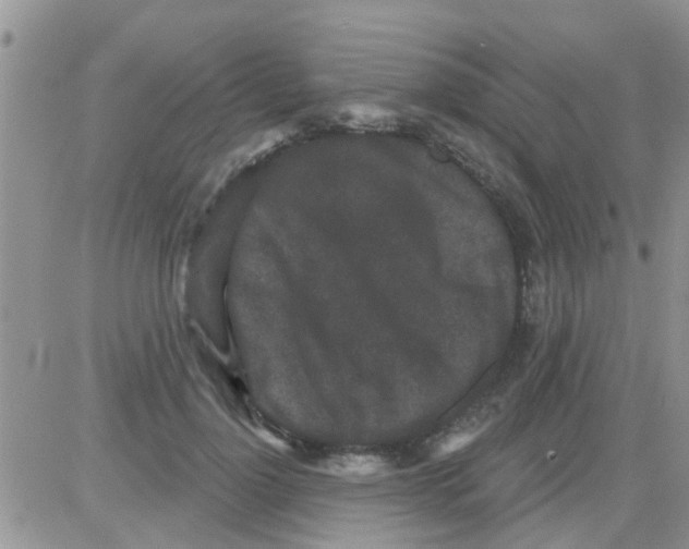 X0000082710748200702232255