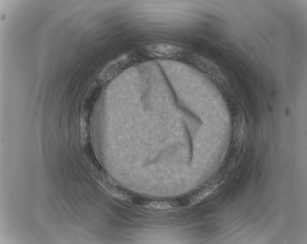 X0000082710749200702232255