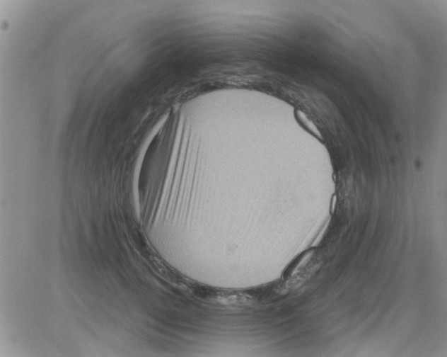 X0000082710752200702232255