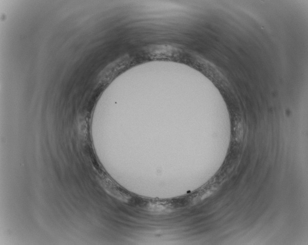 X0000082710753200702232255