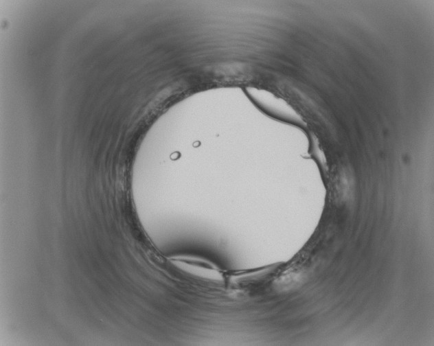 X0000082710756200702232256