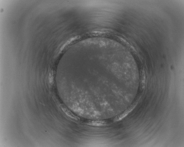 X0000082710758200702232256