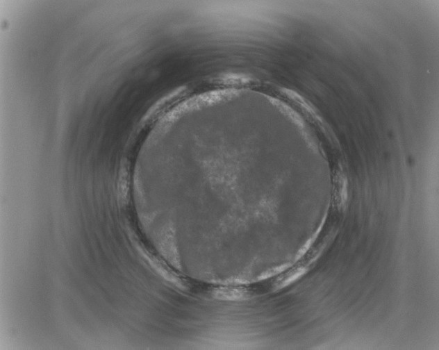 X0000082710762200702232256