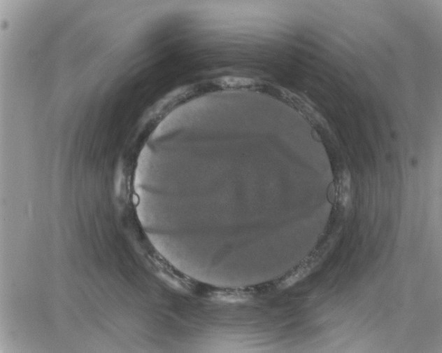 X0000082710763200702232256