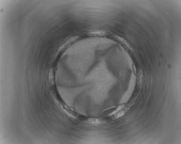 X0000082710764200702232256