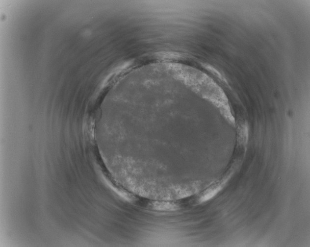 X0000082710766200702232256