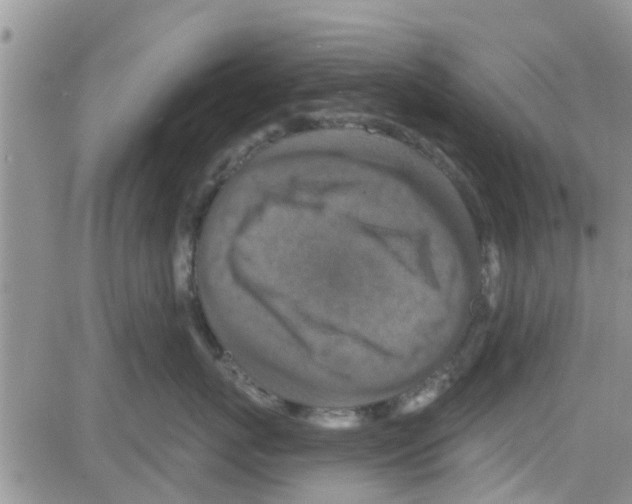 X0000082710767200702232256