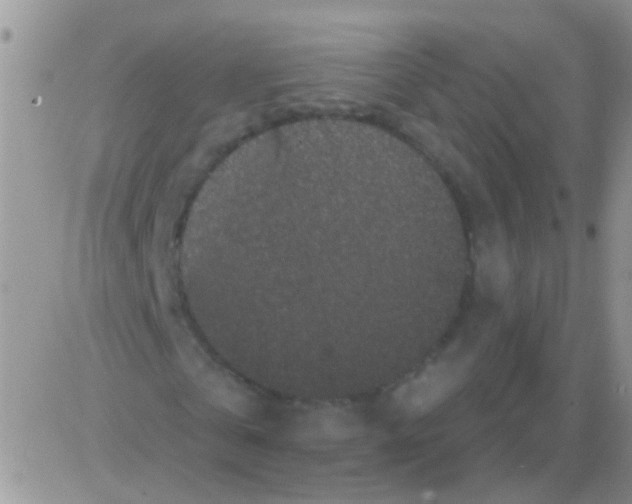 X0000082710769200702232255