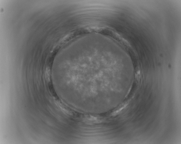 X0000082710772200702232255