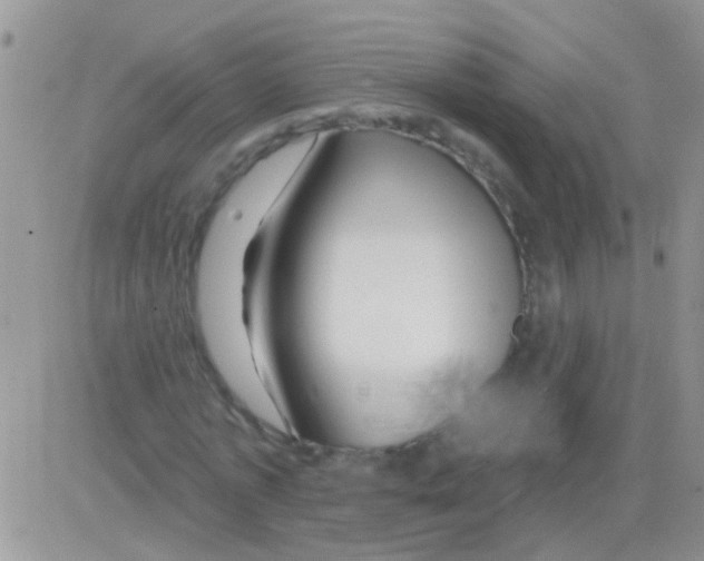 X0000082710773200702232255