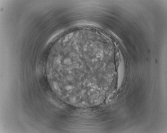 X0000082710775200702232255