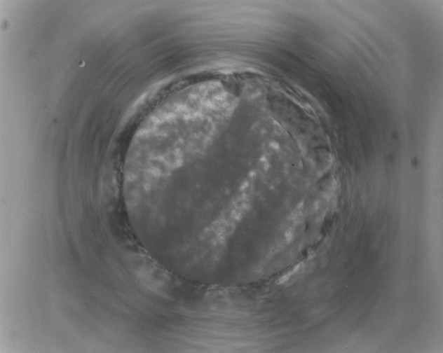 X0000082710776200702232255