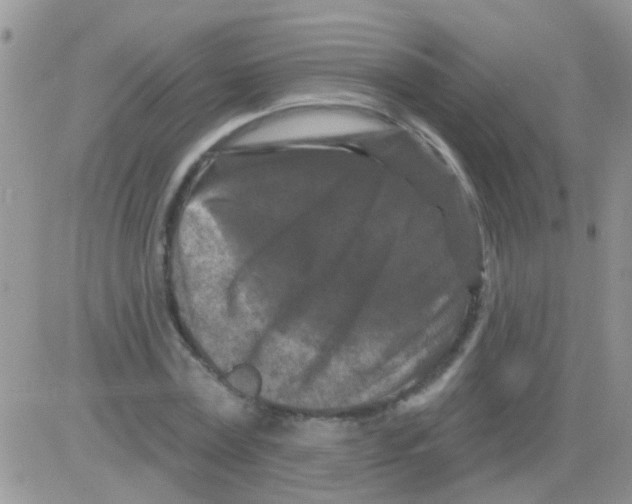 X0000082710779200702232255