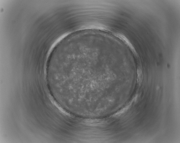 X0000082710780200702232255