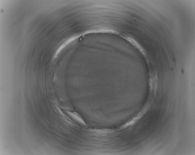 X0000082710781200702232255