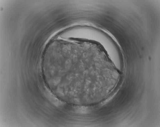 X0000082710783200702232255