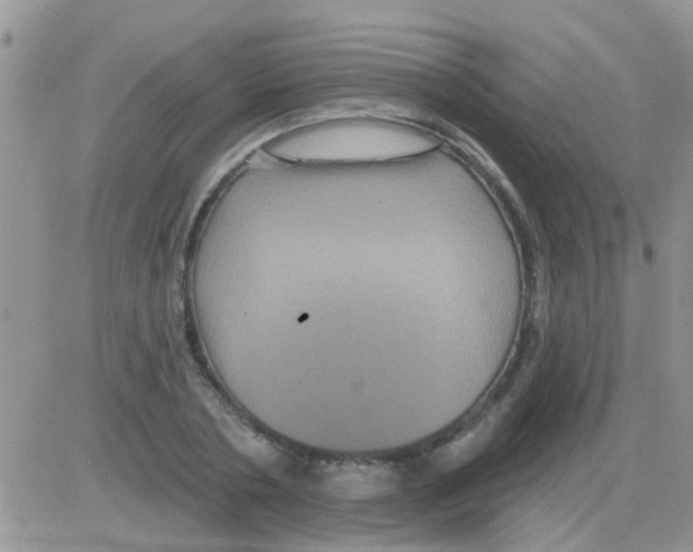 X0000082710786200702232255