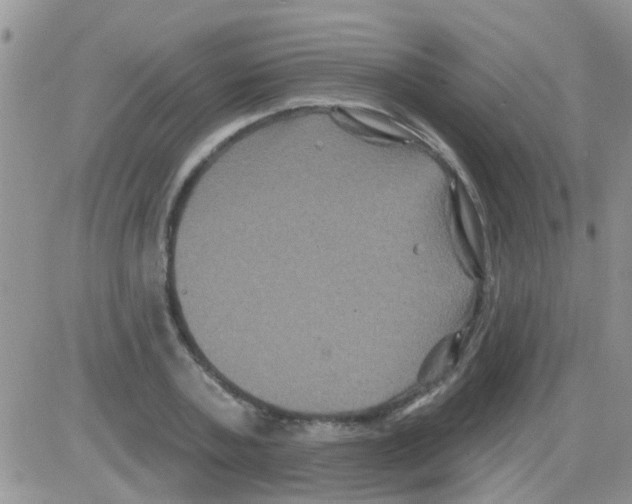 X0000082710787200702232255