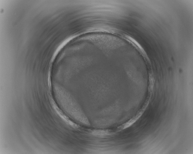 X0000082710788200702232255