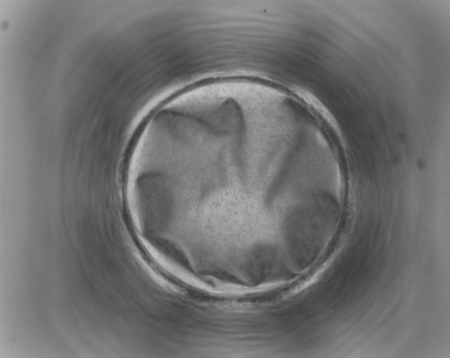 X0000082710789200702232255