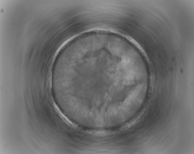 X0000082710791200702232255