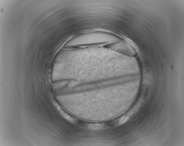 X0000082710793200702232255