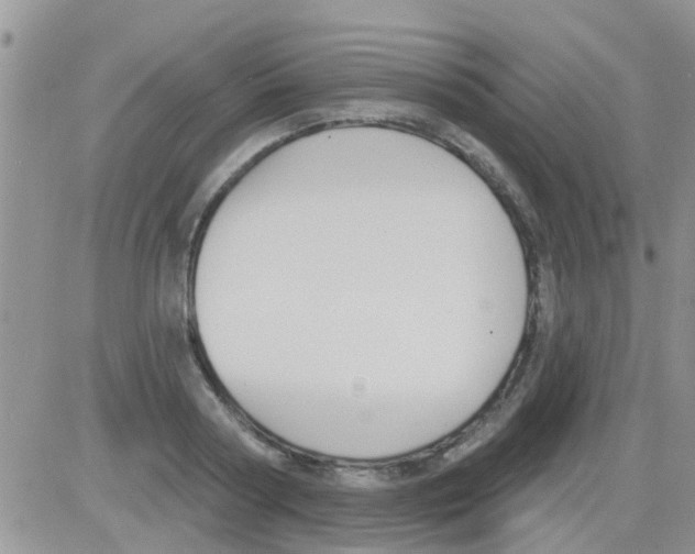 X0000082710794200702232254