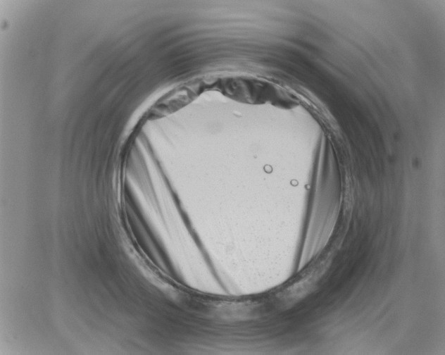 X0000082710796200702232254