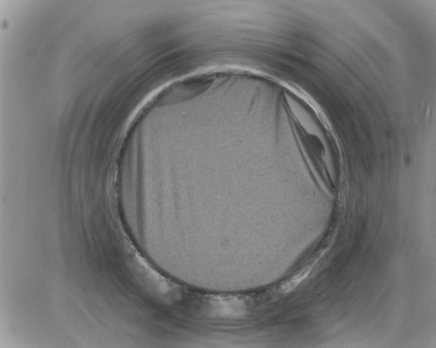 X0000082710799200702232254