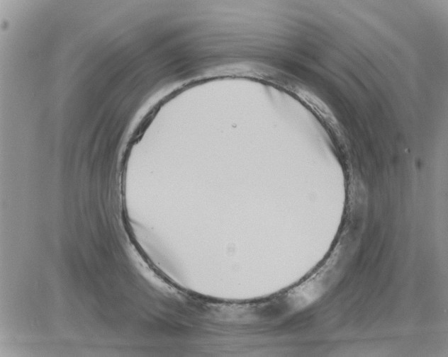 X0000082710800200702232254