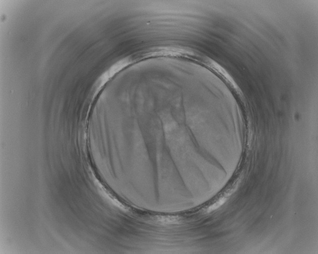 X0000082710802200702232254