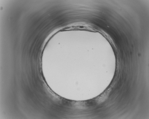 X0000082710808200702232254