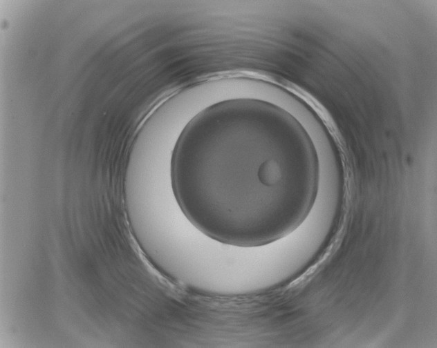 X0000082710809200702232254