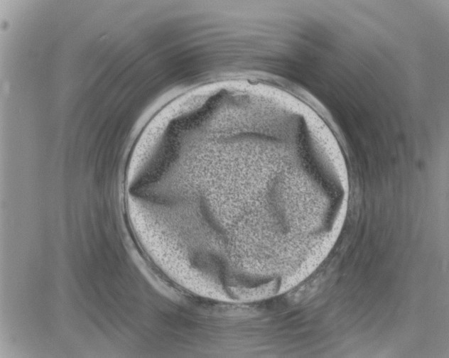 X0000082710811200702232254