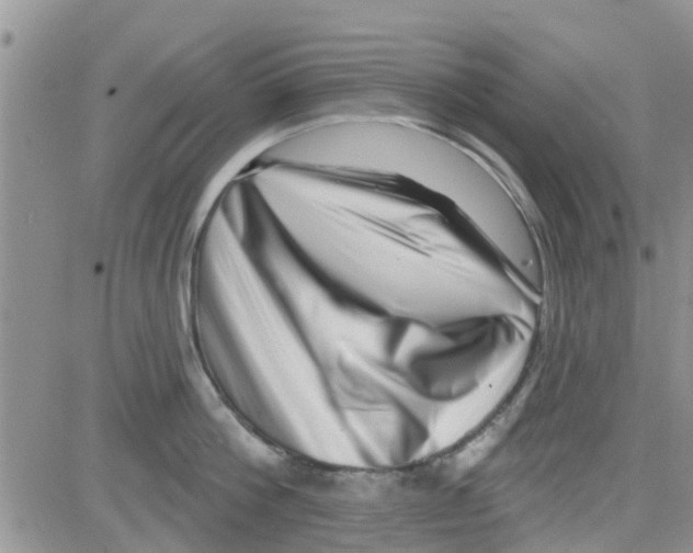 X0000082710812200702232254