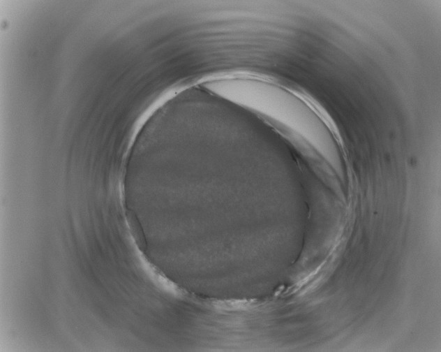 X0000082710813200702232254