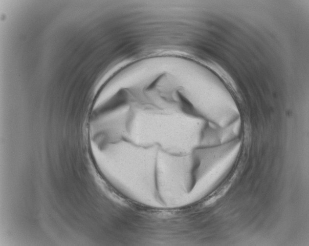 X0000082710814200702232254