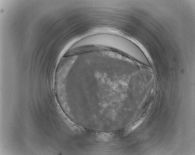 X0000082710815200702232254