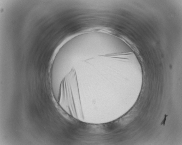 X0000082710816200702232254