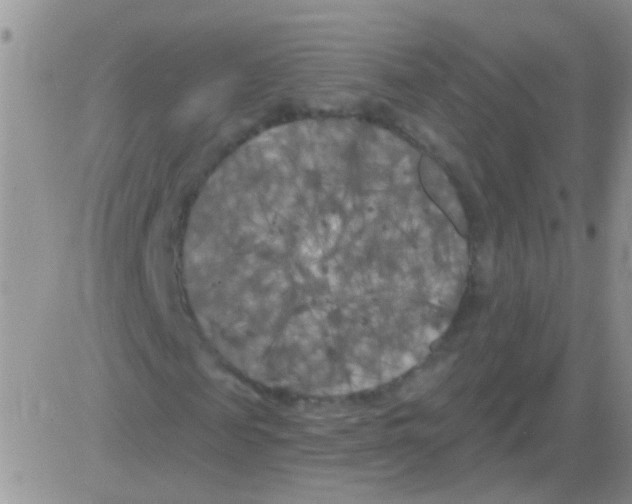 X0000082710817200702232253