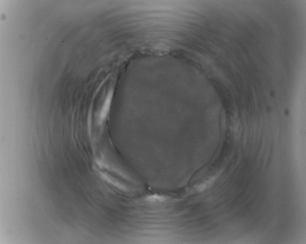 X0000082710818200702232253