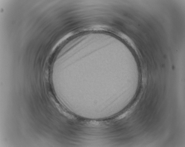 X0000082710827200702232253