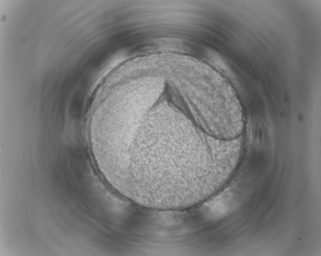 X0000082710828200702232254