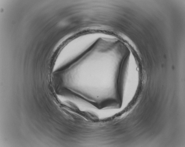 X0000082710829200702232254