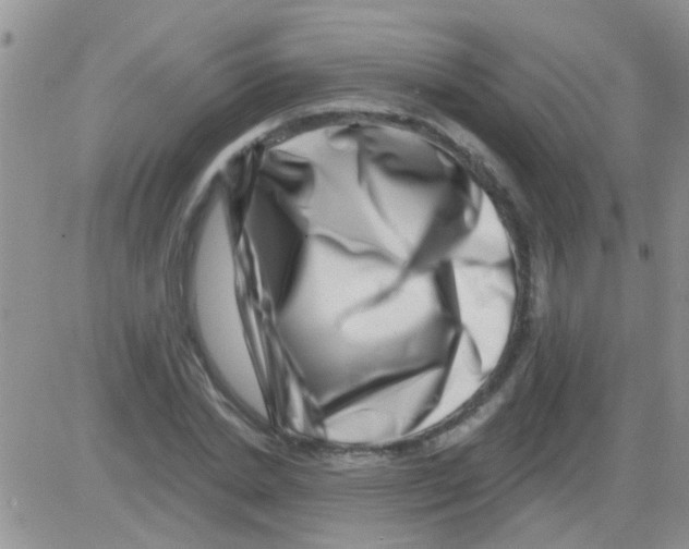 X0000082710830200702232254