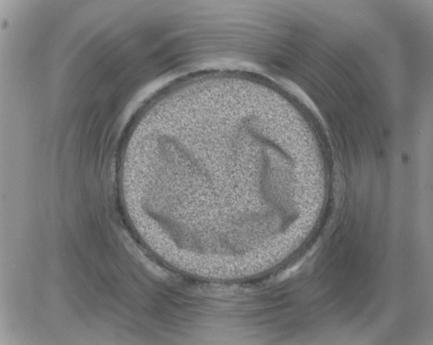 X0000082710831200702232254