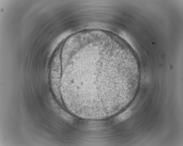 X0000082710832200702232254